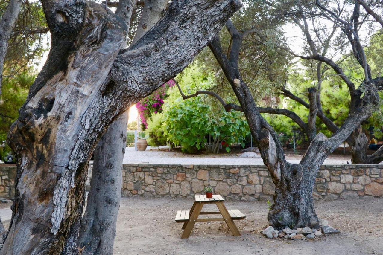 Pyrgos Ralli Estate Guesthouse Aegina Kültér fotó