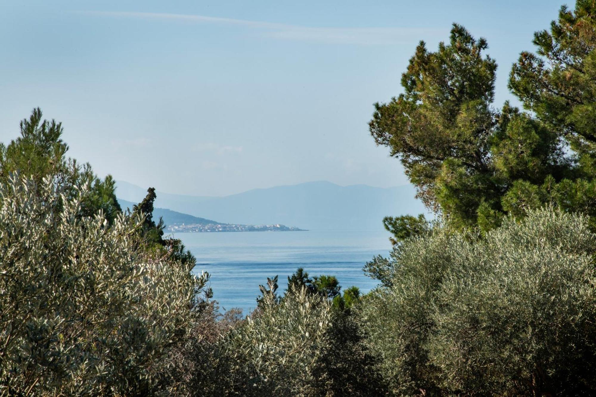 Pyrgos Ralli Estate Guesthouse Aegina Kültér fotó