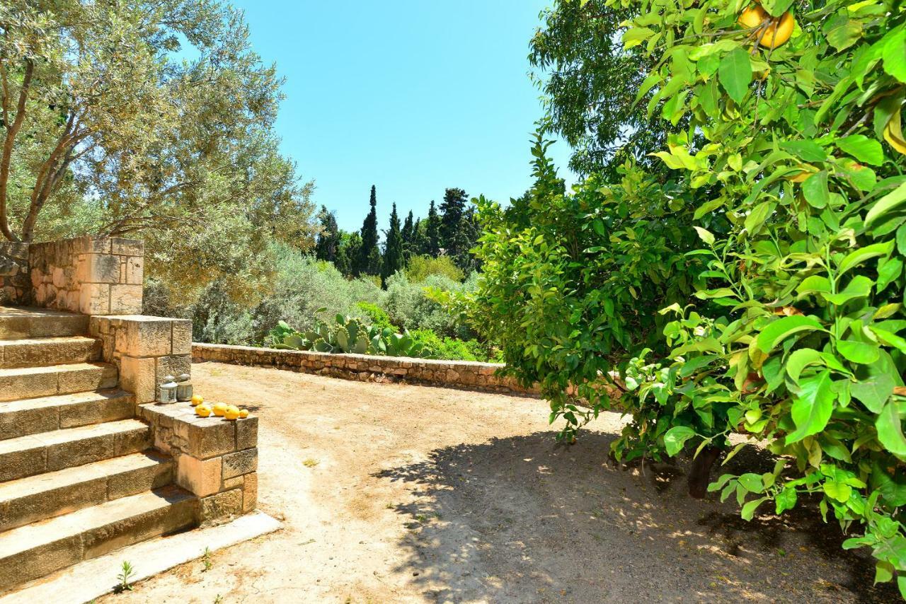 Pyrgos Ralli Estate Guesthouse Aegina Kültér fotó