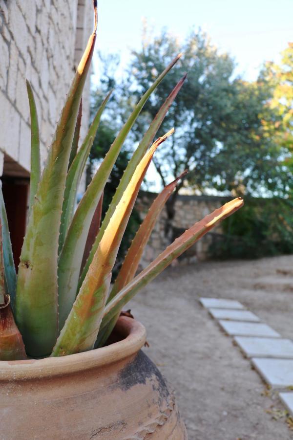 Pyrgos Ralli Estate Guesthouse Aegina Kültér fotó
